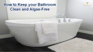 How to Keep your Bathroom Clean and Algae Free