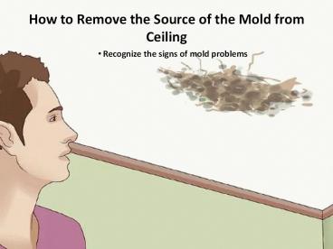 How to Remove the Source of the Mold from Ceiling