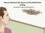 How to Remove the Source of the Mold from Ceiling