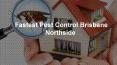 Fastest Pest Control Brisbane PowerPoint PPT Presentation