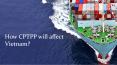 How CPTPP will affect Vietnam PowerPoint PPT Presentation