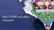 How CPTPP will affect Vietnam