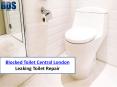 Blocked Toilet Central London – Leaking Toilet Repair PowerPoint PPT Presentation