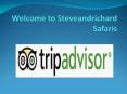 Steve and Richard Safaris : 3 Days Maasai Mara,Amboseli ,Tsavo East and Tsavo West Safaris PowerPoint PPT Presentation