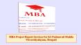 MBA Project Report Services for Sri Padmavati Mahila Visvavidyalayam, Tirupati PowerPoint PPT Presentation