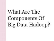 What are the Components of Big Data Hadoop?