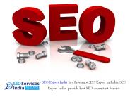 Freelance SEO Expert Can Boost Your Website Ranking