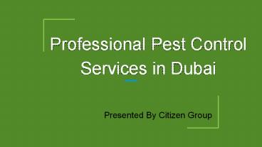 Professional Pest Control Services in Dubai | Citizen Group