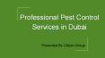 Professional Pest Control Services in Dubai | Citizen Group PowerPoint PPT Presentation