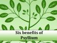 Six Benefits of Psyllium PowerPoint PPT Presentation