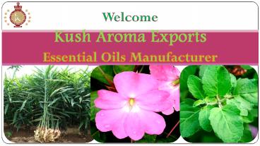 Pure Essential Oils Manufacturers (1)
