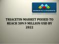 Triacetin Market 2022 PowerPoint PPT Presentation