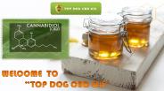 WELCOME  TO TOP DOG CBD OIL