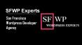 SFWP Experts - San Francisco Wordpress Developer Agency PowerPoint PPT Presentation