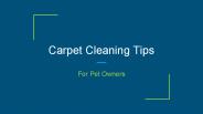Carpet Cleaning Tips For Pet Owners