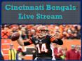 Cincinnati Bengals Live Stream PowerPoint PPT Presentation
