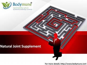 Natural Joint Supplement