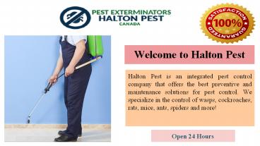 Pest Control  Services in Oakville