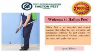 Pest Control  Services in Oakville