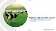 Animal Health Supplement PowerPoint PPT Presentation