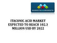 Itaconic Acid Market 2022