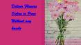 Deliver Flowers Online in Pune Without any hassle PowerPoint PPT Presentation