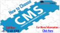 How to Choose a Content Management System (CMS) PowerPoint PPT Presentation