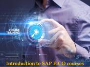 sap fico course (3)