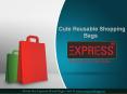 Express Wholesale Shopping Bags PowerPoint PPT Presentation