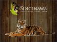 Kanha Jungle Lodge, Luxury Hotel & Resort in Kanha National Park at Singinawa (1) PowerPoint PPT Presentation