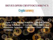 Crypto Coin Mining Solutions - Bitcoin Miner Hosting Solutions