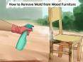 How to Remove Mold from Wood Furniture PowerPoint PPT Presentation