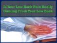 Is Your Low Back Pain Really Coming From Your Low Back PowerPoint PPT Presentation