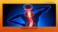 Paediatric Back Pain by Dr Jwalant S Mehta PowerPoint PPT Presentation
