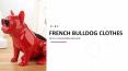 French Bulldog Clothes PowerPoint PPT Presentation