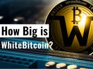 Best Bitcoin & Crypto Affiliate Programs