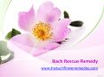 Bach Rescue Remedy - www.thebachflowerremedies.com PowerPoint PPT Presentation
