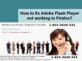 How to fix Adobe Flash Player not working in Firefox? PowerPoint PPT Presentation
