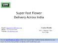 Super Fast Flower Delivery Across India PowerPoint PPT Presentation