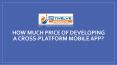 How much price of developing a cross-platform mobile app? PowerPoint PPT Presentation