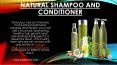 Natural Hair Fall Treatment PowerPoint PPT Presentation