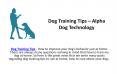 Dog Training Tips – Alpha Dog Technology PowerPoint PPT Presentation