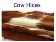cow hide rugs PowerPoint PPT Presentation