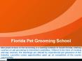 Dog Grooming School Near Me PowerPoint PPT Presentation