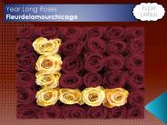 Year Long Roses