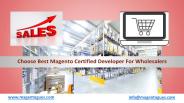 Choose Best Magento Certified Developer For Wholesalers