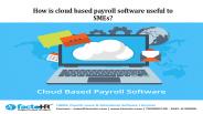 How is cloud based payroll software useful to SMEs?