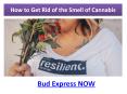 How to Get Rid of the Smell of Cannabis - Bud Express Now. PowerPoint PPT Presentation