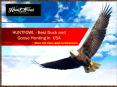 Best Duck and Goose Hunting PowerPoint PPT Presentation