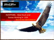 Best Duck and Goose Hunting